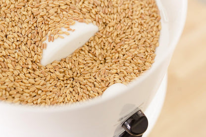 Classic high-speed electric grain grinder, a wheat flour grinder used for making fresh flour, equipped with a stainless steel grinding head